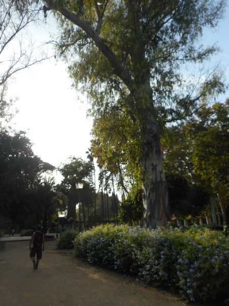 jour15_064.JPG