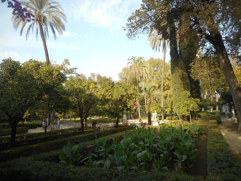 jour15_070.JPG