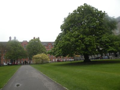 20160507_037.JPG