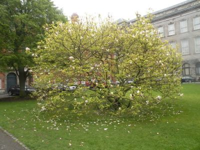 20160507_040.JPG