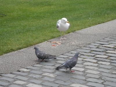 20160507_059.JPG
