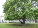 20160507_041.JPG