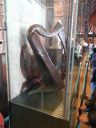 20160507_056.JPG