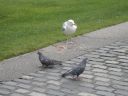 20160507_059.JPG