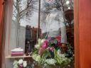 20160507_088.JPG