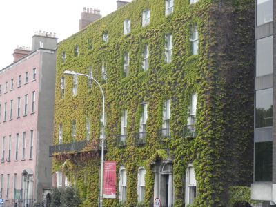20160508_034.JPG