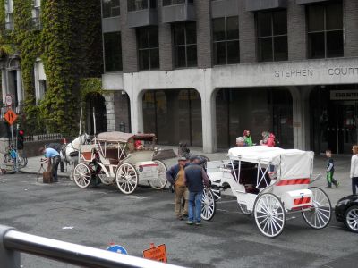20160508_035.JPG