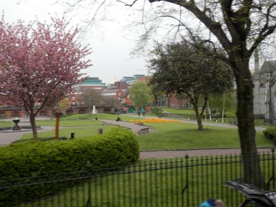 20160508_075.JPG