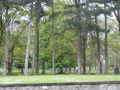20160508_115.JPG