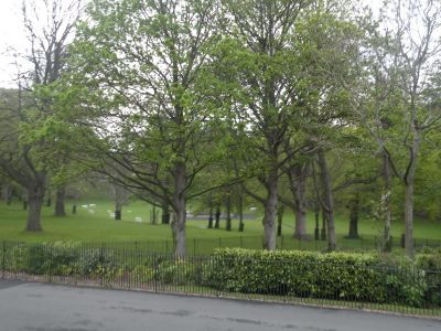 20160508_129.JPG