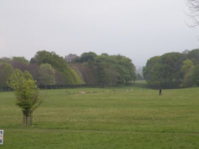 20160508_135.JPG