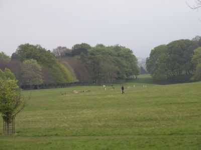 20160508_136.JPG
