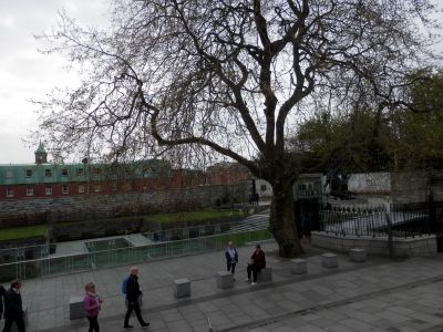 20160508_175.JPG
