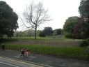 20160508_128.JPG