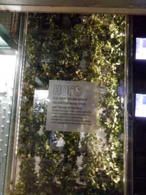 20160508_240.JPG