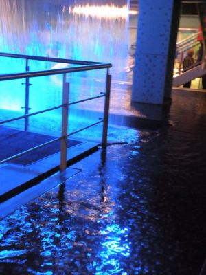 20160508_242.JPG