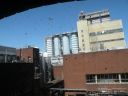 20160508_252.JPG