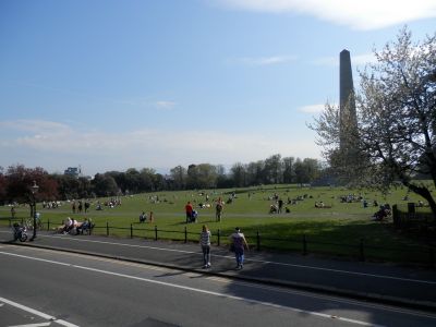 20160508_349.JPG