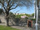 20160508_352.JPG