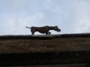 20160508_362.JPG