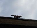 20160508_363.JPG
