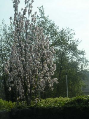 20160509_010.JPG