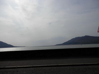20160509_019.JPG