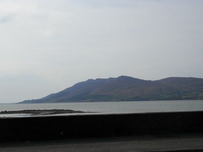 20160509_022.JPG