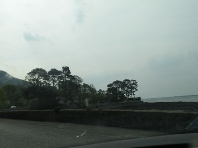 20160509_024.JPG