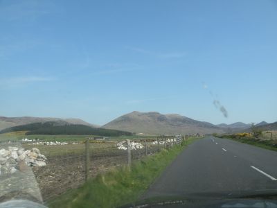 20160509_035.JPG