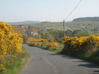 20160509_057.JPG