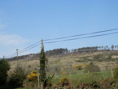 20160509_062.JPG