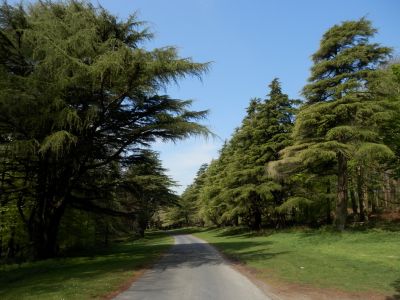 20160509_068.JPG