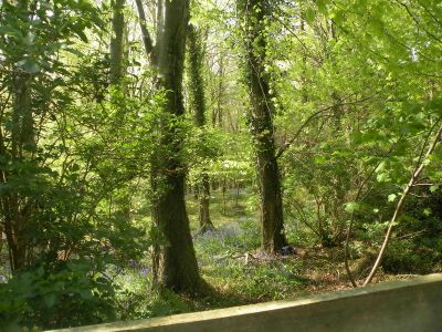 20160509_075.JPG