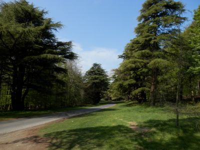 20160509_084.JPG