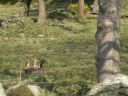 Filename=20160509_056.JPG
Filesize=248KiB
Dimensions=800x600
Date added=Jun 04, 2016 20160509_056.JPG