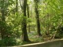 Filename=20160509_075.JPG
Filesize=342KiB
Dimensions=800x600
Date added=Jun 04, 2016 20160509_075.JPG