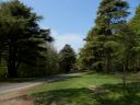 20160509_084.JPG