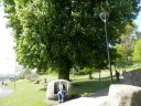 20160509_098.JPG