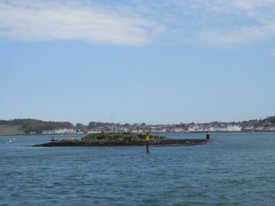 20160509_151.JPG