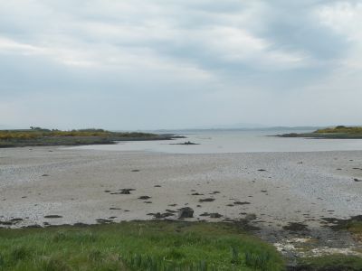 20160509_173.JPG