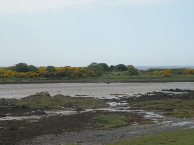20160509_174.JPG