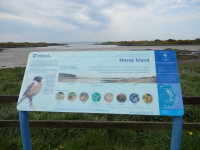 20160509_175.JPG