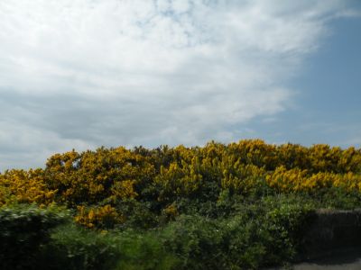 20160509_178.JPG