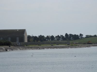 20160509_190.JPG