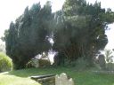 20160509_108.JPG