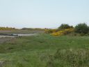 20160509_176.JPG