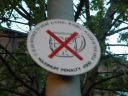 Filename=20160509_360.JPG
Filesize=164KiB
Dimensions=800x600
Date added=Jun 04, 2016 20160509_360.JPG