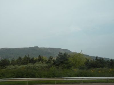 20160510_007.JPG