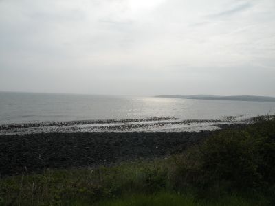 20160510_024.JPG